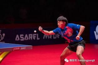 无情爆料赵子豪视频,揭秘背后惊人真相