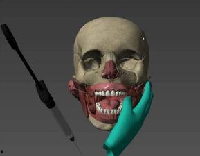 人体模型最新爆料视频,科技与艺术的完美融合